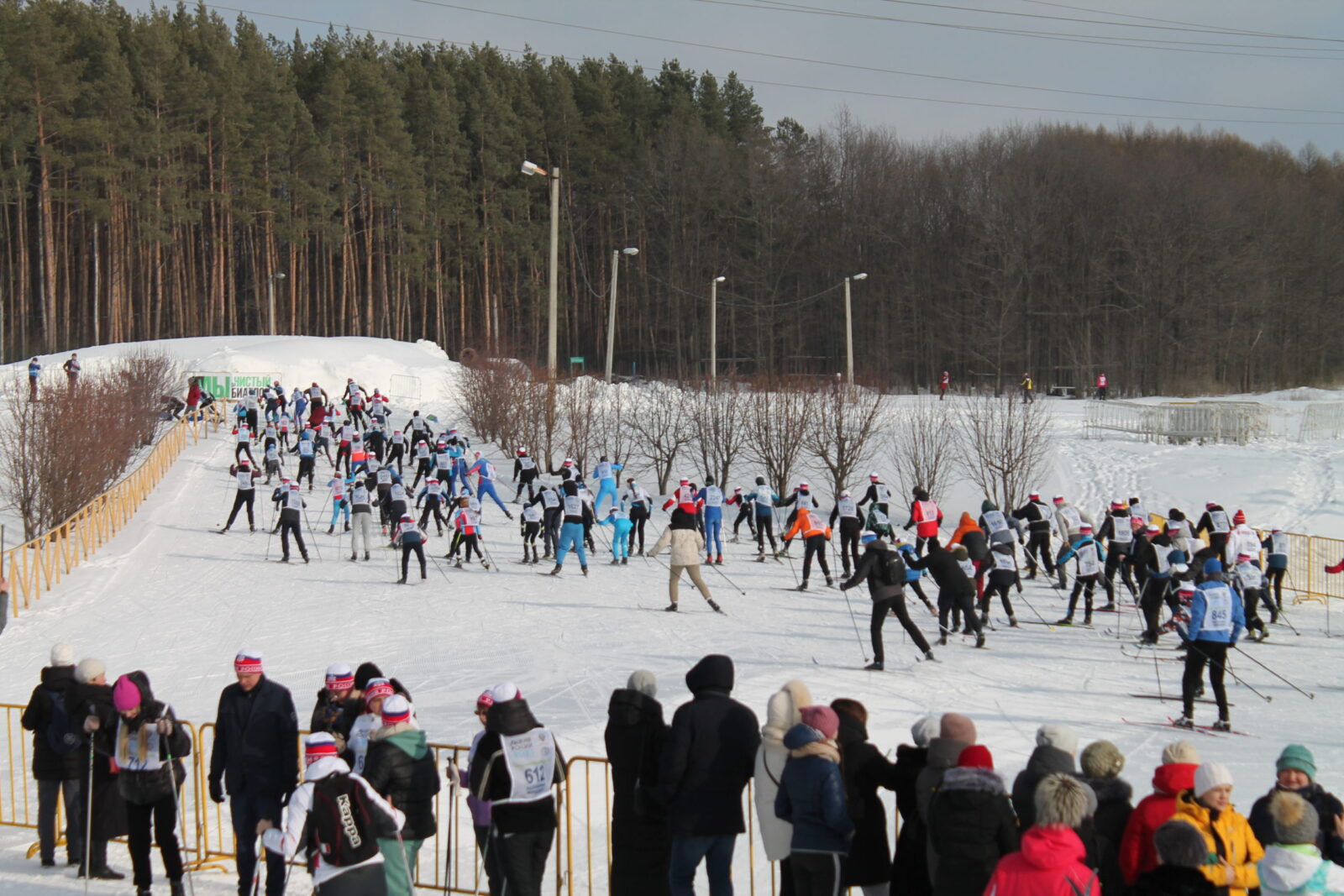 Участие во Всероссийской лыжной гонке «Лыжня России - 2023»